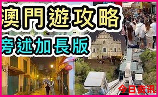 2003年12月属什么生肖
