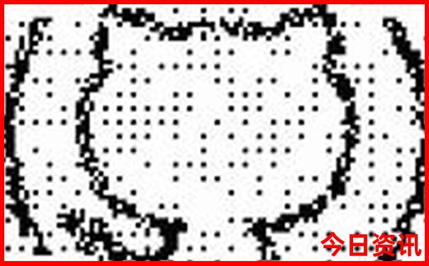 白山市内有什么好玩的景点